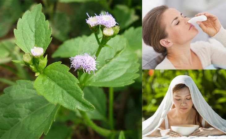 bai-thuoc-tri-viem-xoang