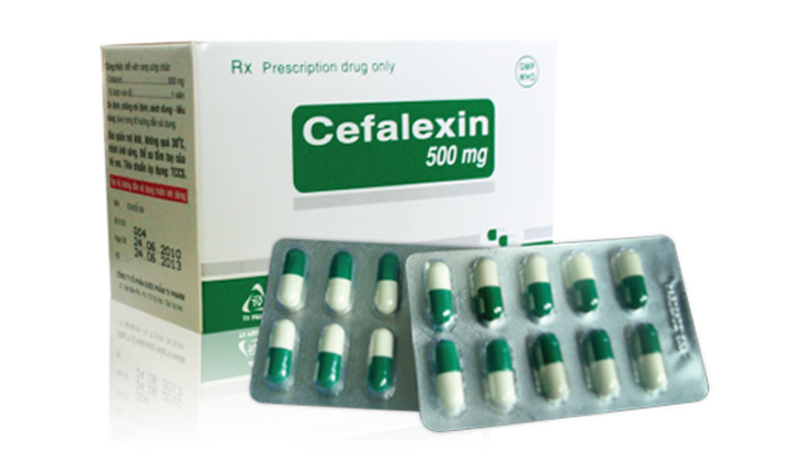 Thuốc kháng sinh Cephalexin