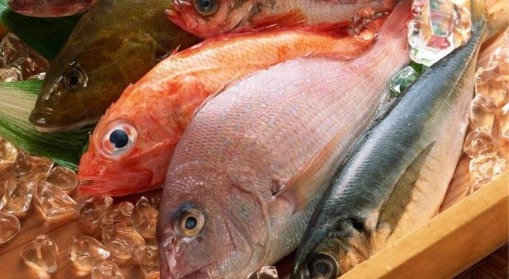 Cá và mối liên hệ mật thiết với bệnh gout