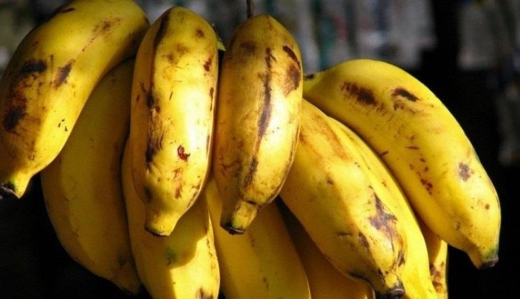 Những dưỡng chất có trong chuối