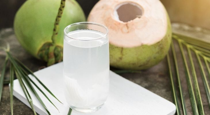 Bệnh gút uống nước dừa được không?