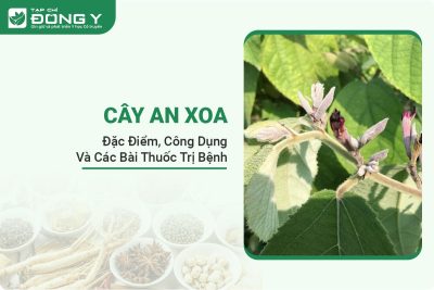 cay-an-xoa