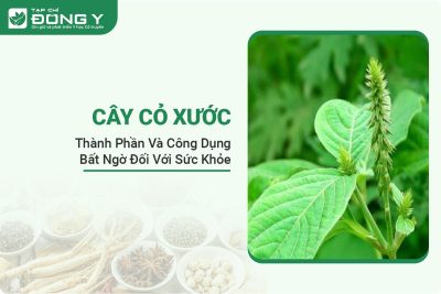 cay-co-xuoc