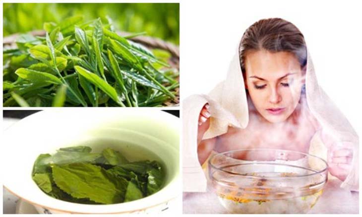 Cây trà xanh có catechin làm tăng công dụng của việc xông chữa viêm xoang.