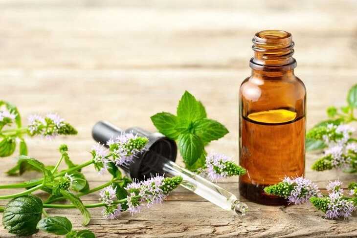 Tinh dầu bạc hà rất hiệu quả trong đào thải dịch tắc, trị viêm xoang