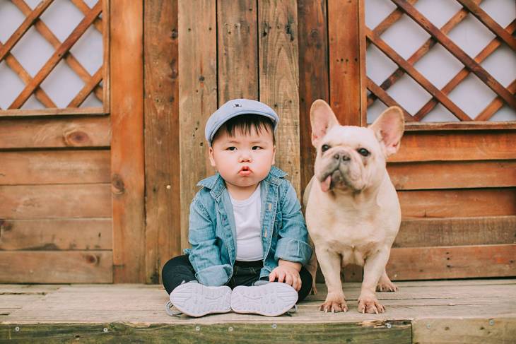 Hạn chế cho trẻ tiếp xúc với thú cưng như chó mèo