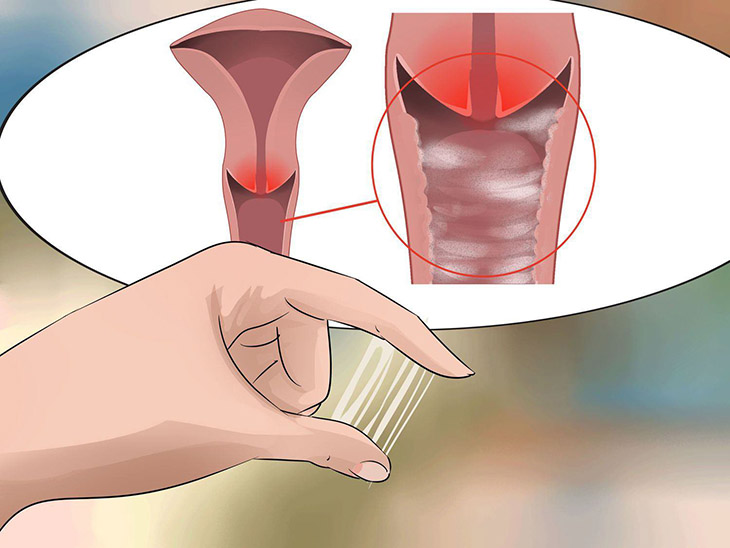 Chất nhờn trong âm đạo giúp cô bé khỏi những tác động gây viêm nhiễm từ bên ngoài