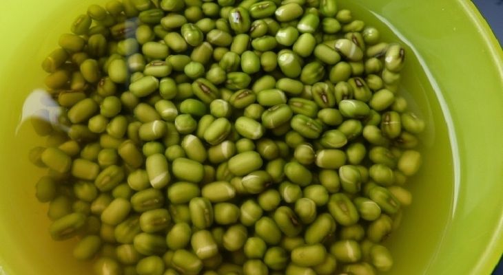 Đậu xanh nguyên vỏ cải thiện tốt tình trạng bệnh gout