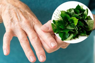 Cần lưu ý gì khi dùng lá lốt trừ khử Gout