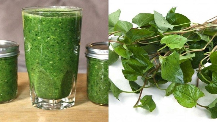 Rau diếp cá chứa nhiều loại vitamin tốt cho da