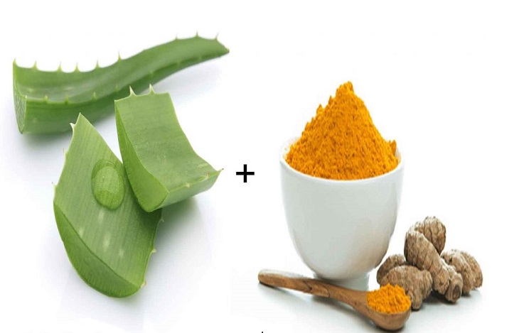 Tinh bột nghệ và nha đam kết hợp