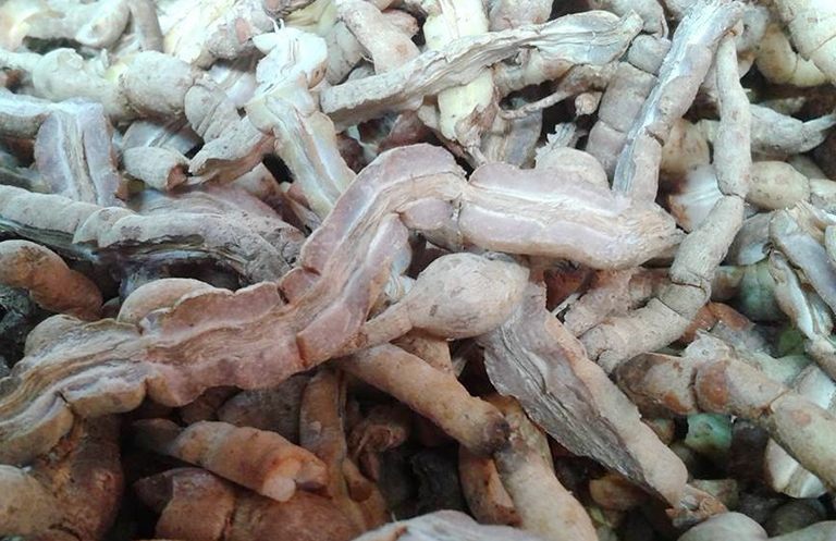 chữa xuất tinh sớm bằng Đông y