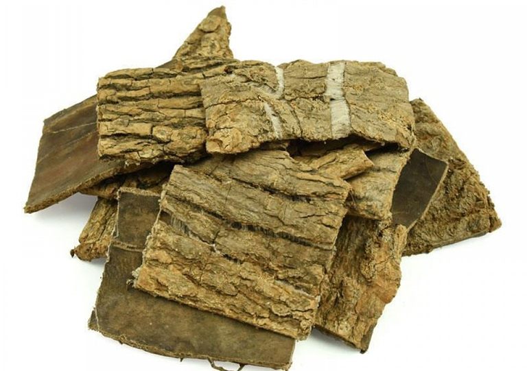 chữa xuất tinh sớm bằng Đông y Đỗ trọng mang tới bài thuốc chữa bệnh hiệu quả