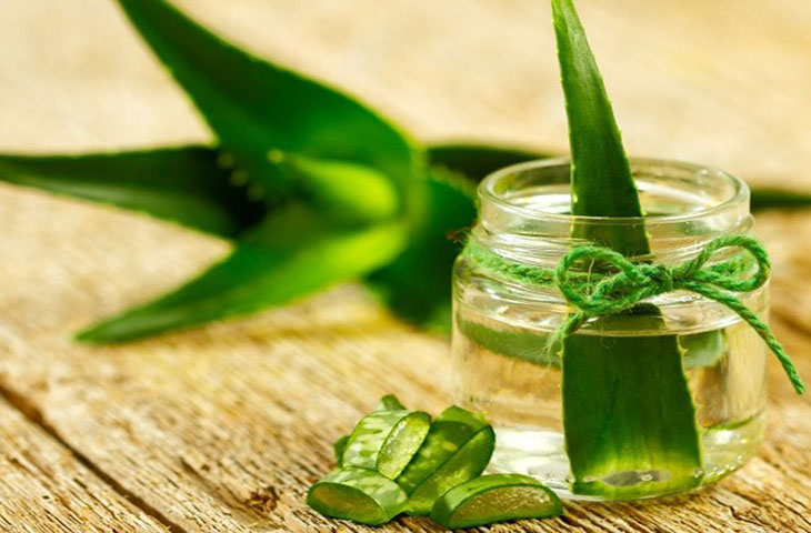 Cây nha đam chữa yếu sinh lý