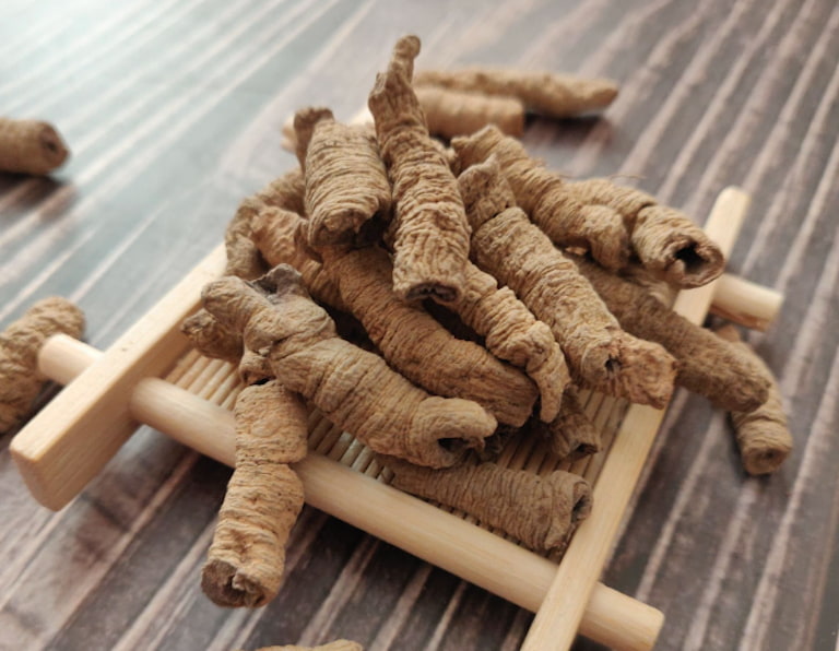 Ba kích có công dụng trong việc trợ dương, dưỡng cốt, ôn thận, kích thích ham muốn