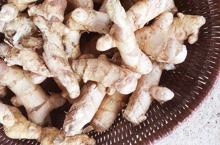 Củ nghệ độc có nhiều tác dụng tốt cho người bệnh