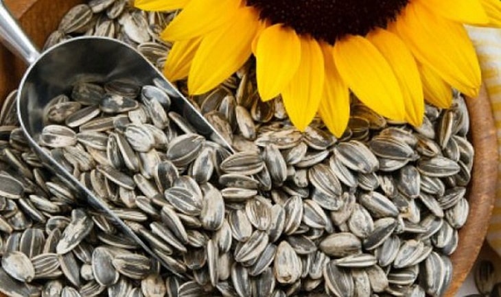 Hạt hướng dương là một nguồn cung cấp Omega 3 rất tốt