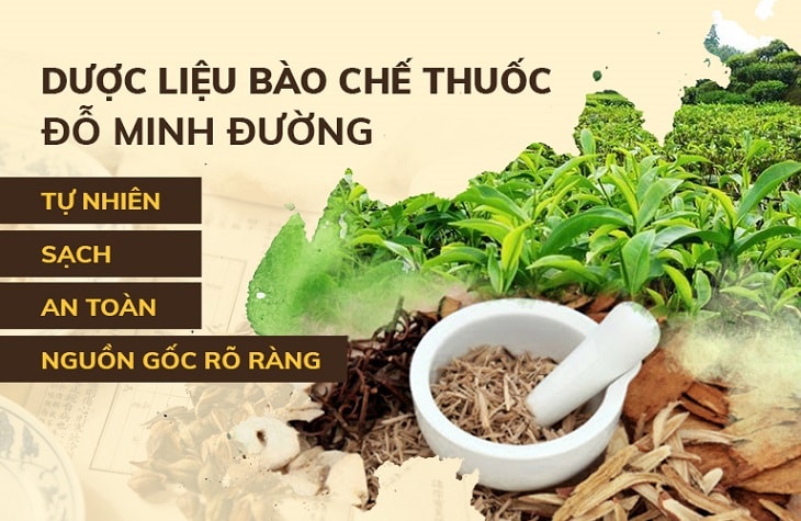 Bài thuốc Gout Đỗ Minh sử dụng nguồn dược liệu sạch Bài thuốc Gout Đỗ Minh sử dụng nguồn dược liệu sạch