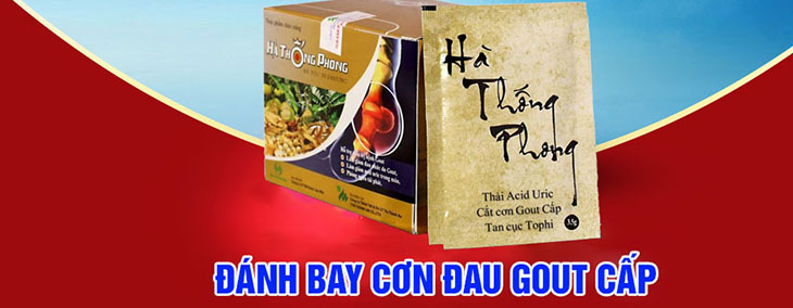 Hà Thống Phong là bài thuốc nam điều trị gout 3 đời của Gia Tộc Họ Hà, Đông y Hà Thống Phong Hà Thống Phong là bài thuốc nam điều trị gout 3 đời của Gia Tộc Họ Hà, Đông y Hà Thống Phong