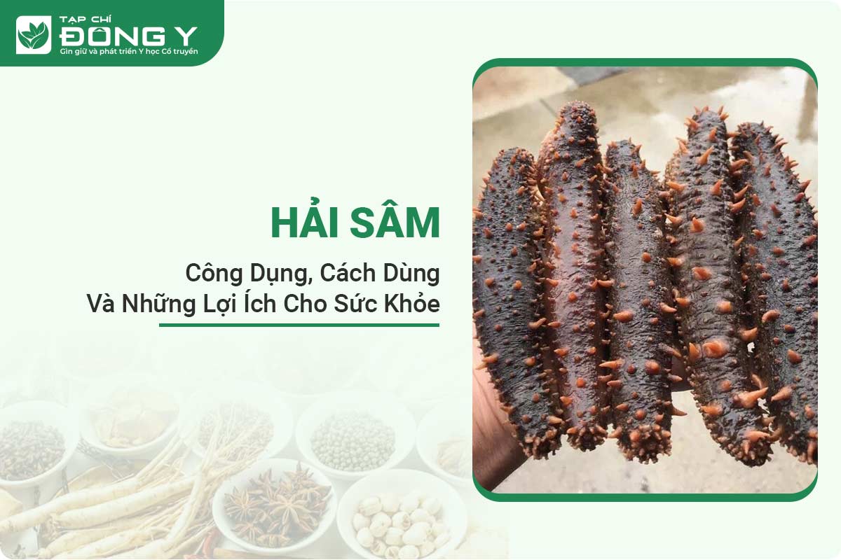 hai-sam