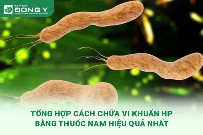 chua-vi-khuan-hp-bang-thuoc-nam