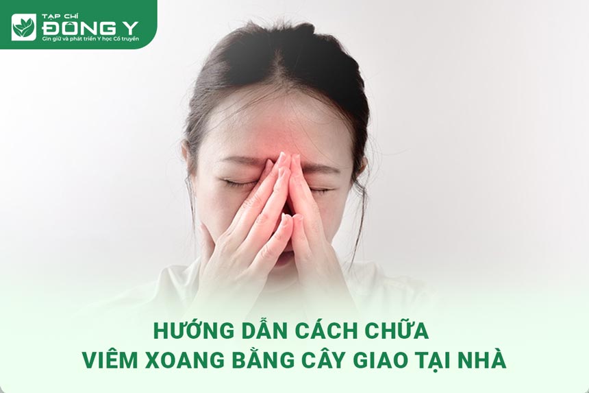 chua-viem-xoang-bang-cay-giao
