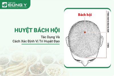 huyet-bach-hoi