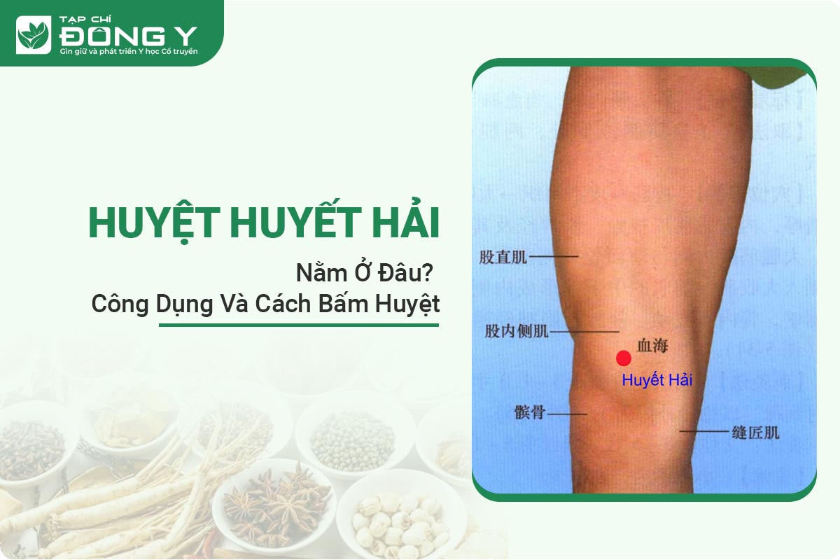 huyet-huyet-hai-nam-o-dau