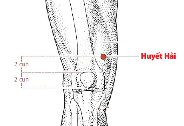 huyet-huyet-hai-nam-o-dau