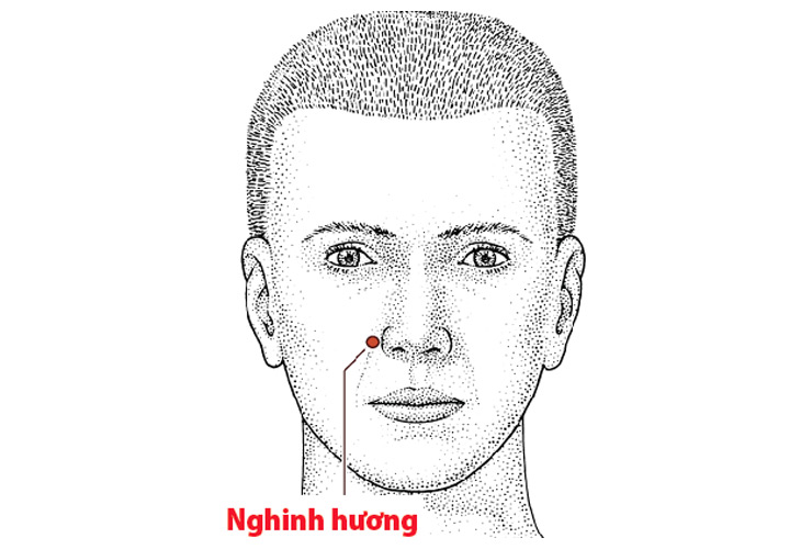 huyet-nghinh-huong