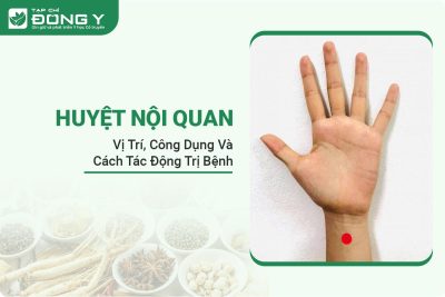 huyet-noi-quan