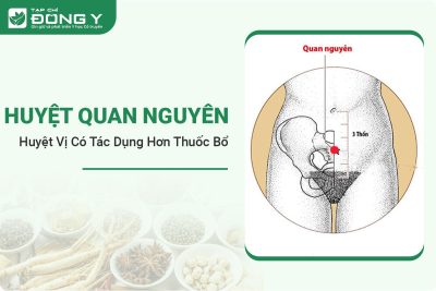 huyet-quan-nguyen