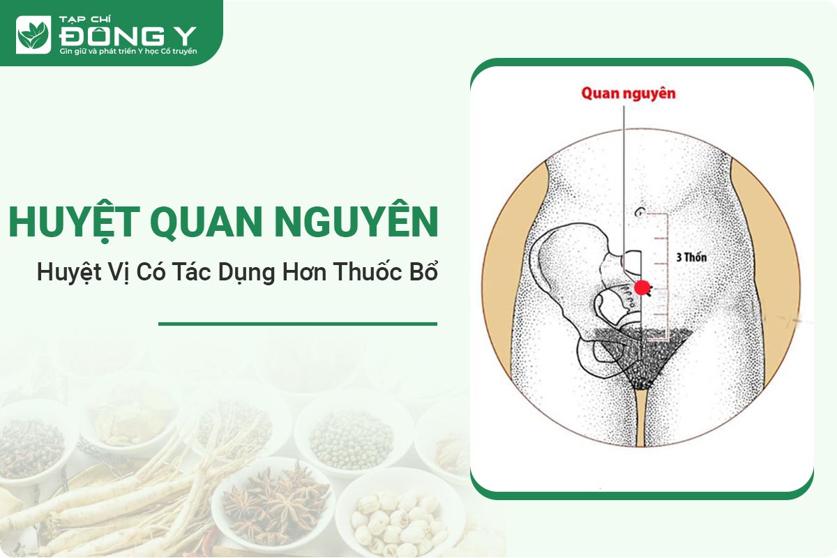 huyet-quan-nguyen