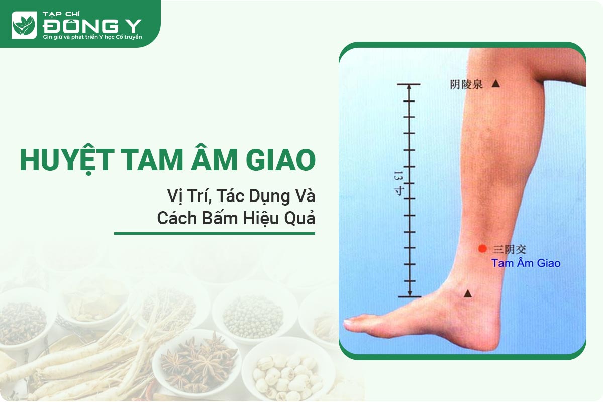 huyet-tam-am-giao