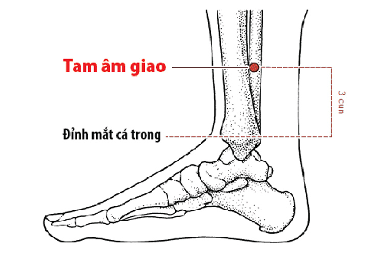 huyet-tam-am-giao