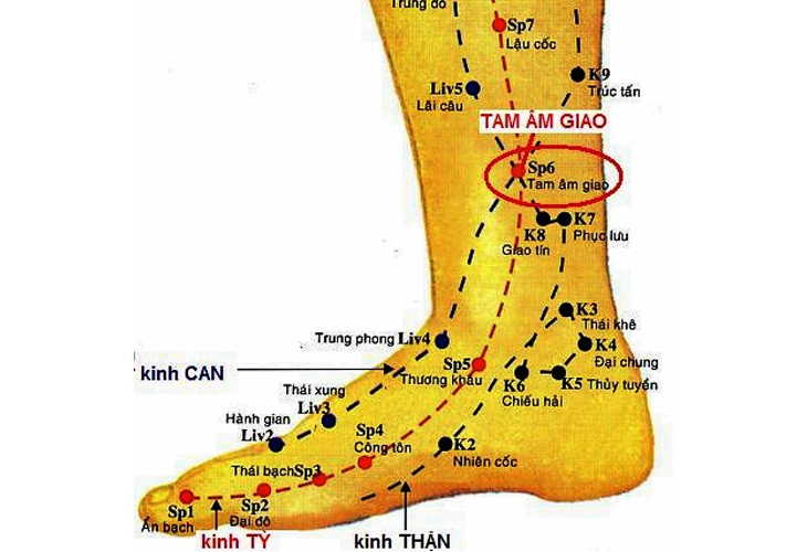 huyet-tam-am-giao