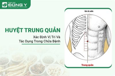 huyet-trung-quan