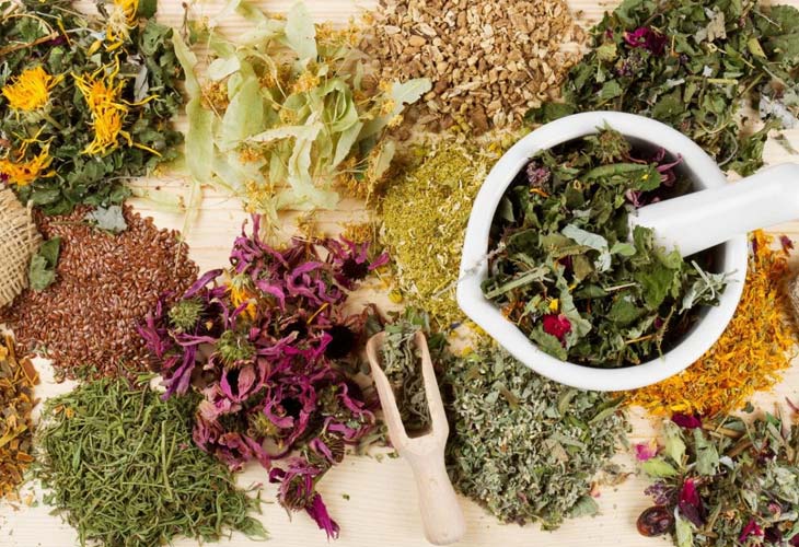 thuoc-dong-y-tri-soi-than thuoc-dong-y-tri-soi-than