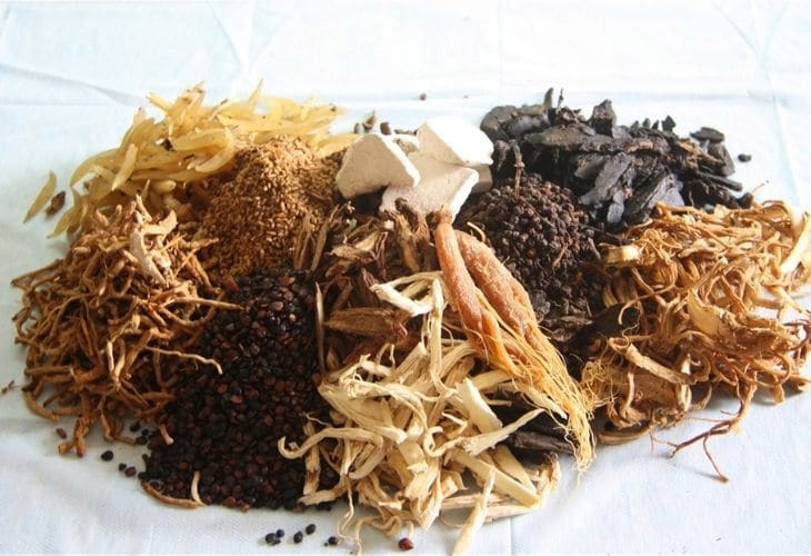 tri-roi-loan-noi-tiet-to-bang-dong-y tri-roi-loan-noi-tiet-to-bang-dong-y