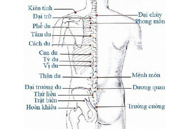 huyet-tam-du