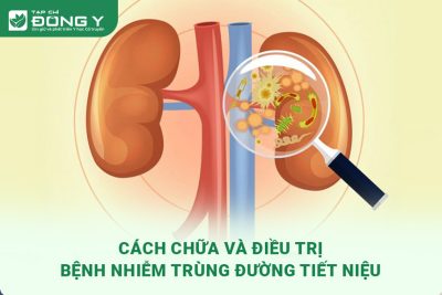 dieu tri benh nhiem trung duong tiet nieu