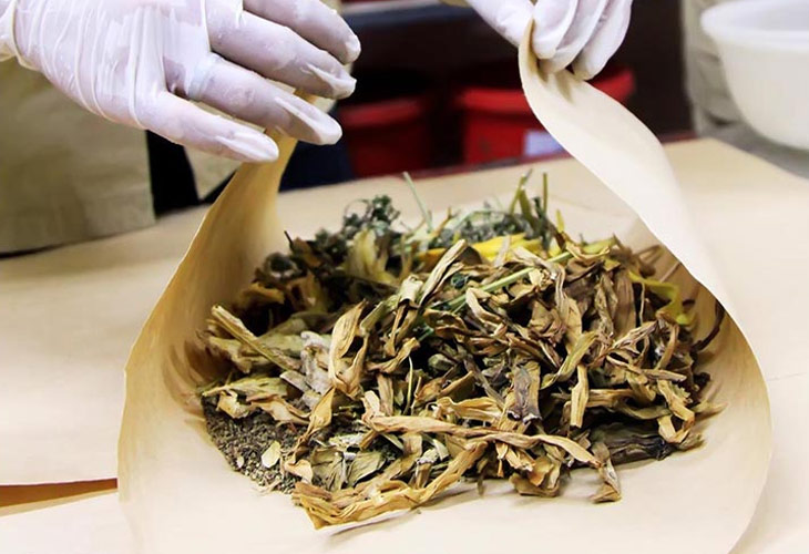 thuoc-dong-y-tri-soi-than thuoc-dong-y-tri-soi-than