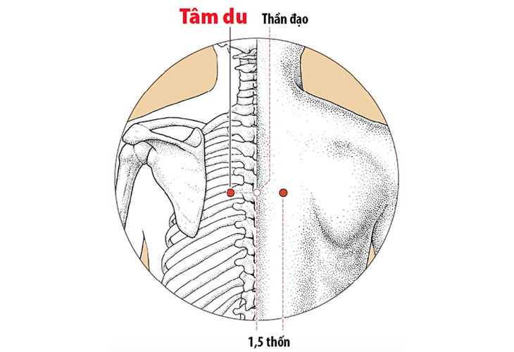 huyet-tam-du
