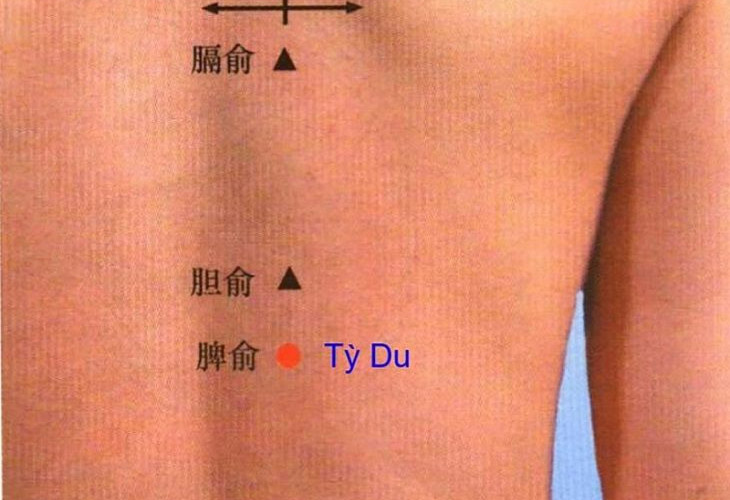 huyet-ty-du