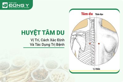 huyet-tam-du