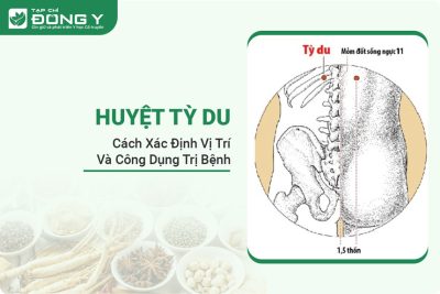 huyet-ty-du