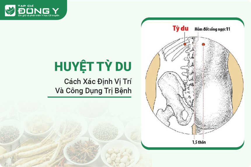 huyet-ty-du