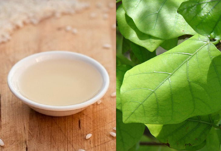 la-vong-chua-benh-tri la-vong-chua-benh-tri