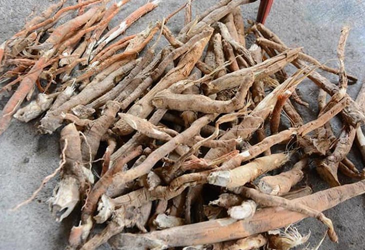 thuoc-nam-chua-roi-loan-cuong-duong thuoc-nam-chua-roi-loan-cuong-duong