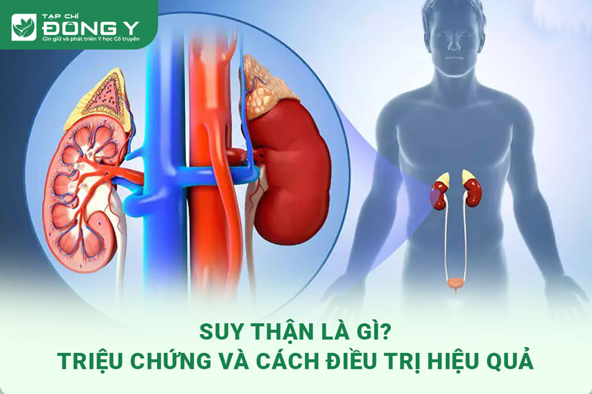 suy-than